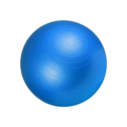 Gym Equipment
